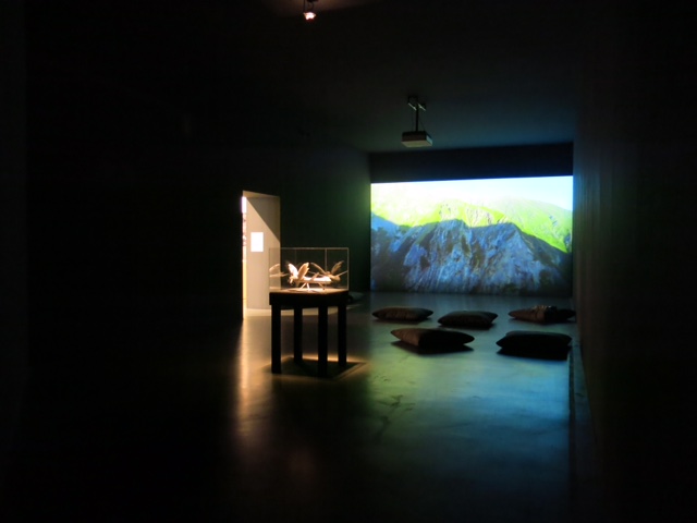 video projected in a dark room displaying river and greenery
