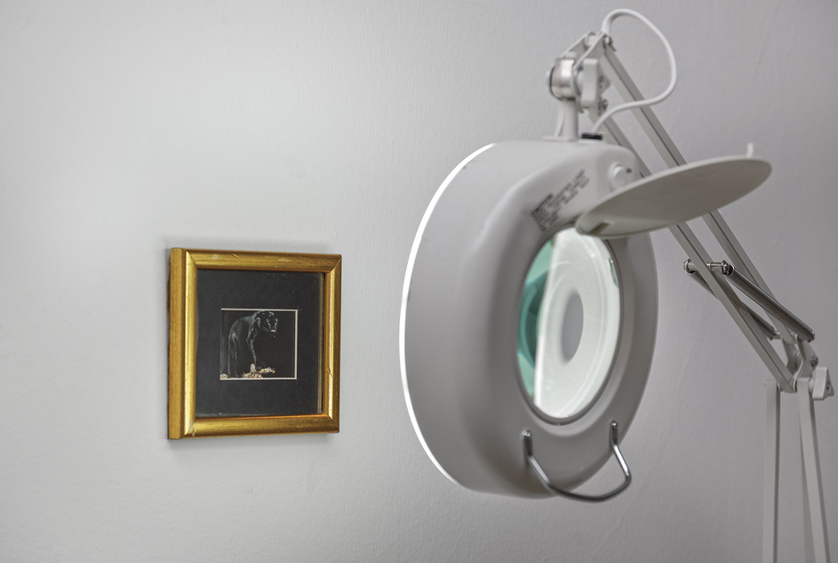 illuminated lens on black panther photo, small golden framed
